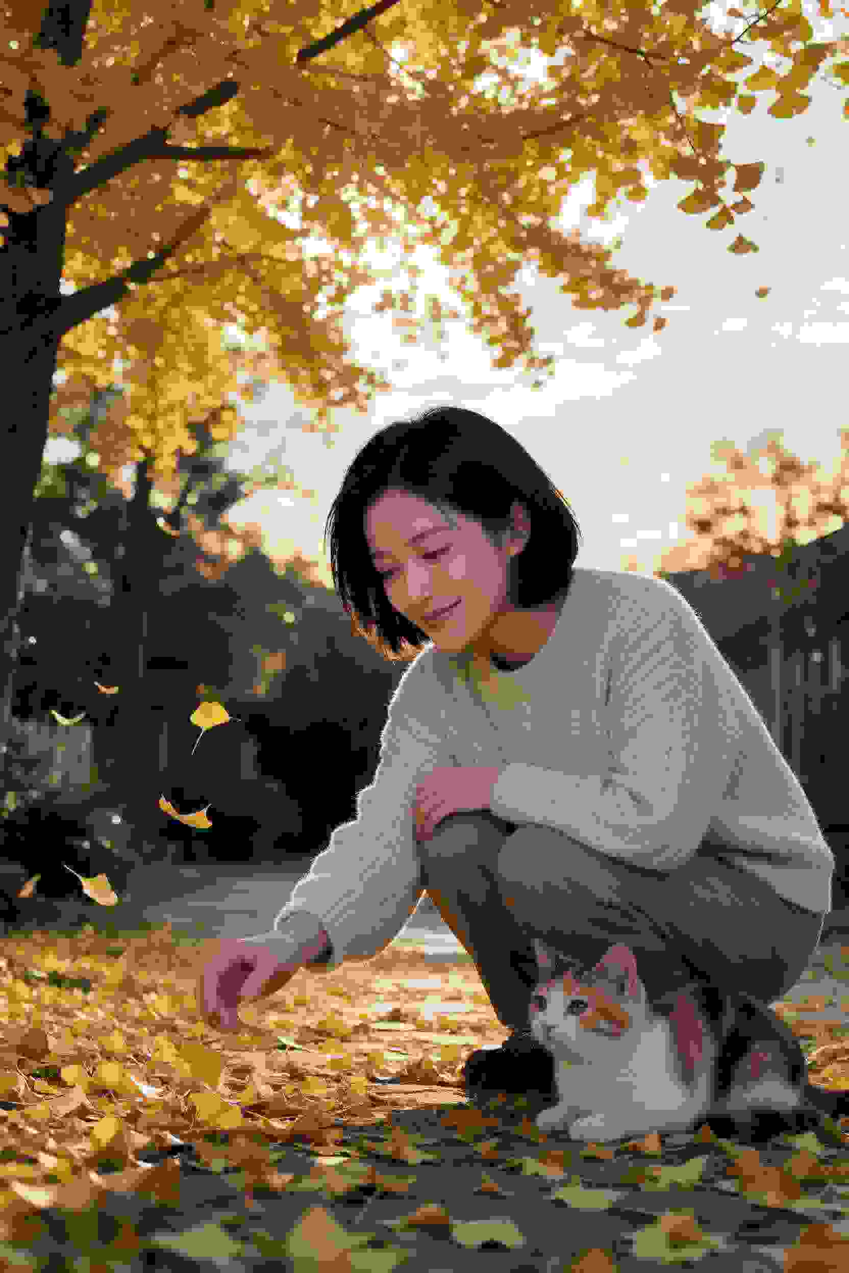暗码战争
